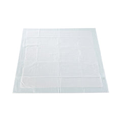 UNDERPAD, MODERATE ABSRB 30"X30" (10/BG 10BG/CS)