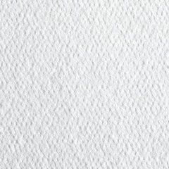 WIPER, PT CARE GP PRO PACIFIC WHT DISP 1/4" (55/PK 24PK/CS)