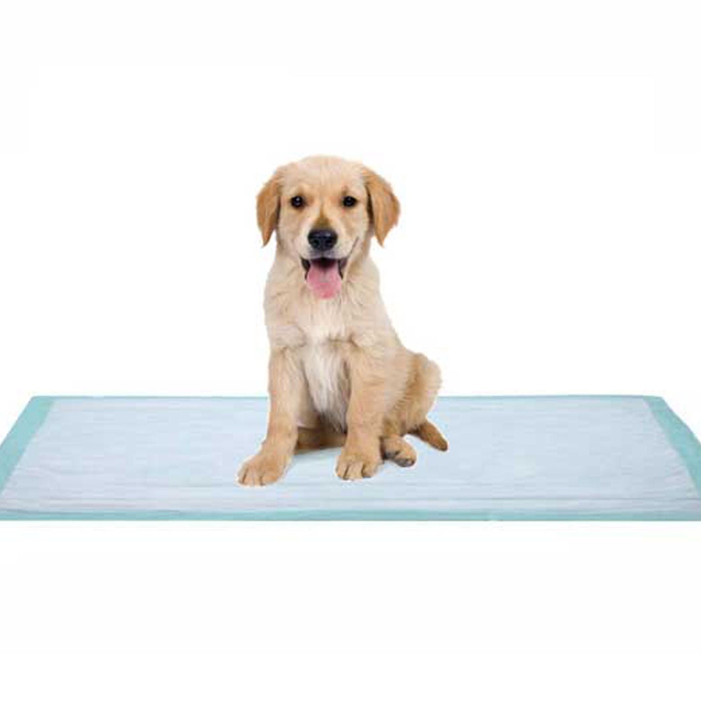 UNDERPAD, FLUFF 17X24 (100/BX 3BX/CS)
