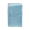 UNDERPAD WINGS, DISPOSABLE FLUFF MOD ABSORB 30X30" (10/BG 10