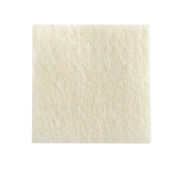 DRESSING, CALCIUM ALGINATE SHEET 2"X2" (10/BX 10BX/CS)