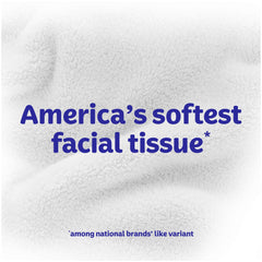 TISSUE, FACIAL WHT (10/PK 8PK/BG 12BG/CS)