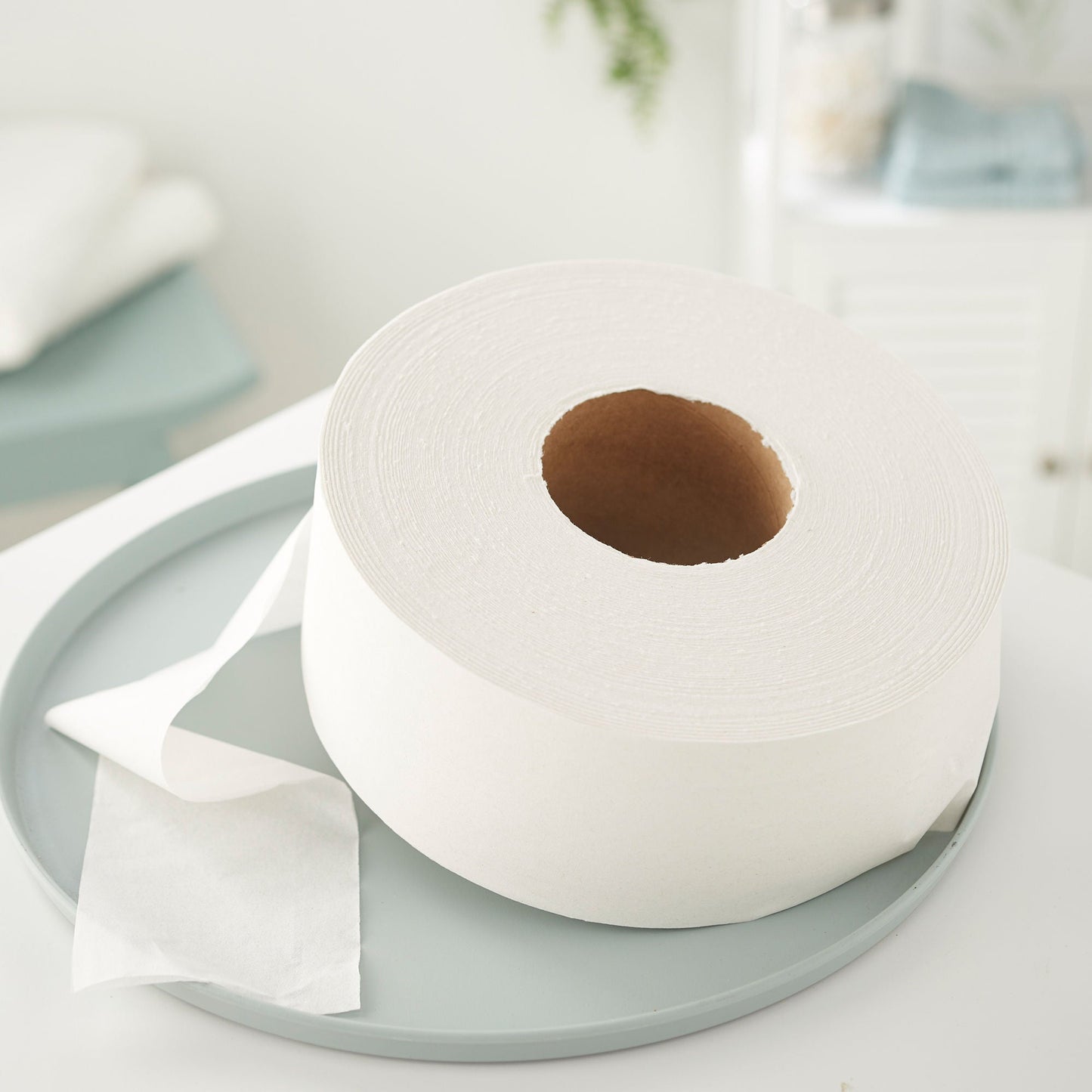 TISSUE, TOILET ACCLAIM 2PLY 1000FT WHT (8RL/CS)