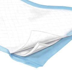 UNDERPAD, MAXI FLOW XLG (10/BG6BG/CS) KENICO