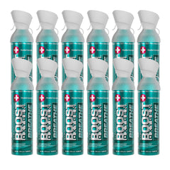 CANISTER, OXY PORT LG MENTOL-EUCALYPTUS 10L 2PK (12/CS)