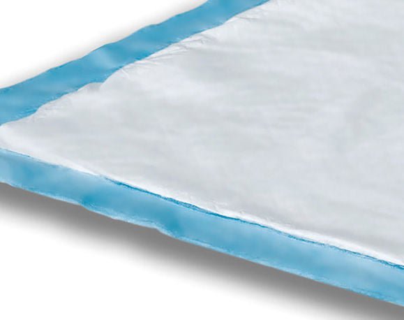 UNDERPAD, DRI-SORB 23X24" (10/PK 20PK/CS)