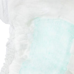 PAD, INCONT TOTALDRY MAX (20/BG 9BG/CS)