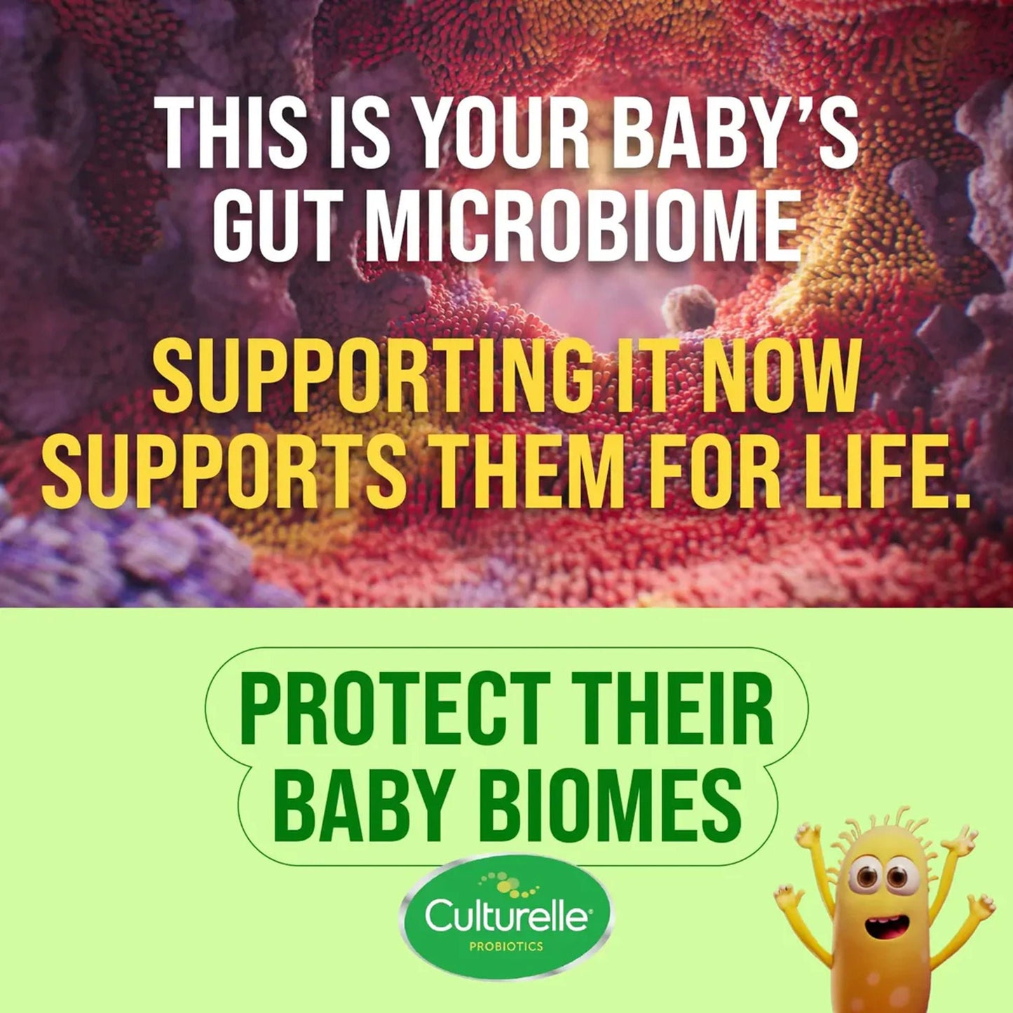 SUPPLEMENT, DRP CULTURELLE BABY DIGESTIVE .29OZ (12BX/CS)