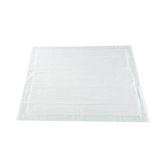 UNDERPAD, MODERATE ABSRB 30X36(10/BG 10BG/CS)
