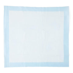 UNDERPAD, DISP ECON 23" (200/CS)