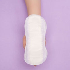 PAD, SENI LADY MODERATE REG (28/PK 6PK/CS)