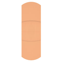 BANDAGE, ECON ADHSV STR 1"X3" (100/BX 24BX/CS)