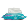 WIPE, FLUSHABLE ADLT (48/PK 12PK/CS)