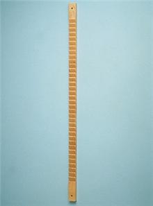 EXERCISER, SHOULDER/FINGER WALL LADDER