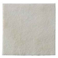 DRESSING, SEASORB ALGINATE SLVR 6"X6" (10/BX)