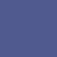 STETHOSCOPE, PINNACLE SERIES RBLU (50/CS)