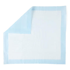 UNDERPAD, DISP ECON 23" (200/CS)