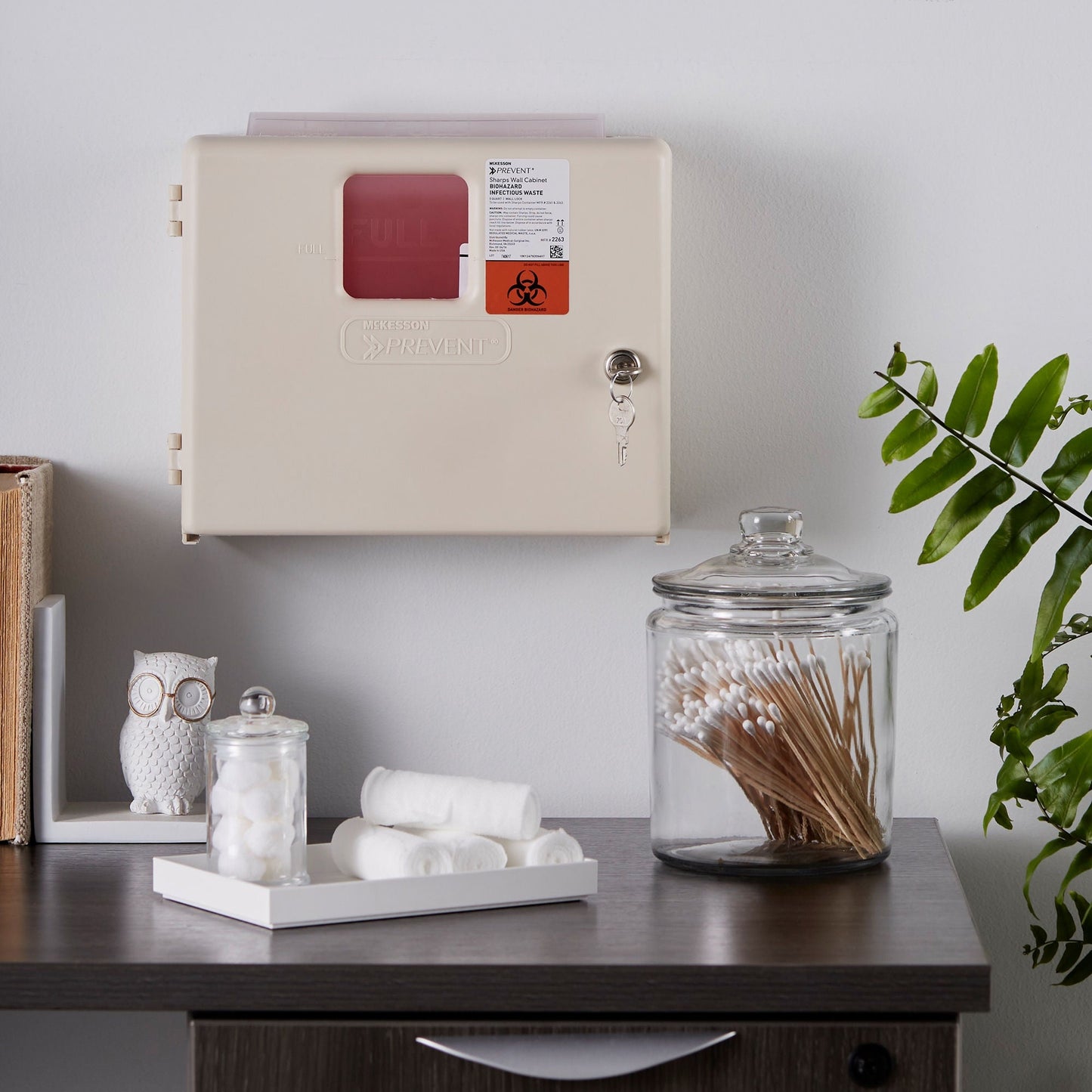 CABINET, SHARPS LOCK WALL 5QT W/2KEYS (2/CS)