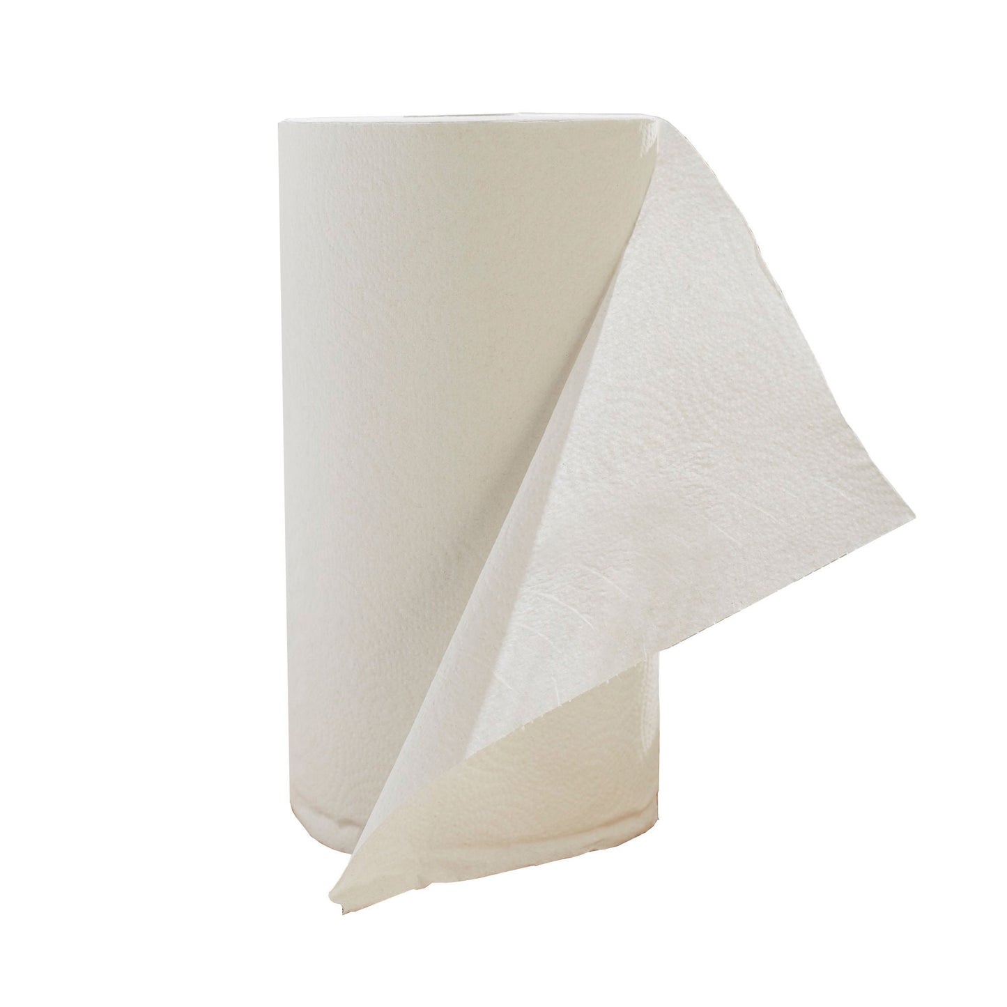 TOWEL, PAPER PERFORM 2PLY WHT (12RL/CS)