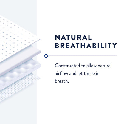 UNDRGARMNT, PREVAIL BELTD XLG 36 (8/BG 6BG/CS