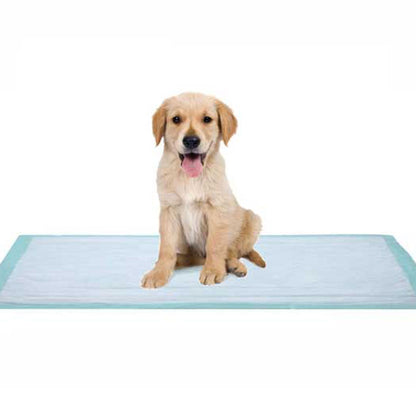UNDERPAD, FLUFF 17X24 (100/BX 3BX/CS)