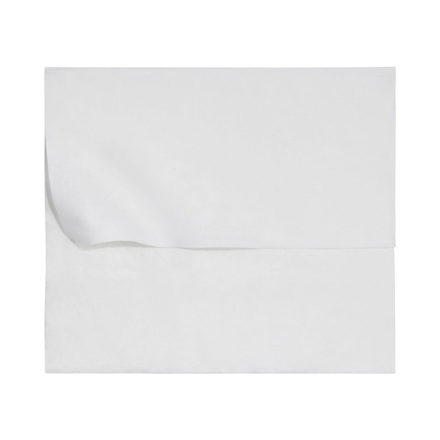 WIPE, WET FLUSHABLE XL UNSCNTDSFT PK W/LID (48/PK 12PK/CS)