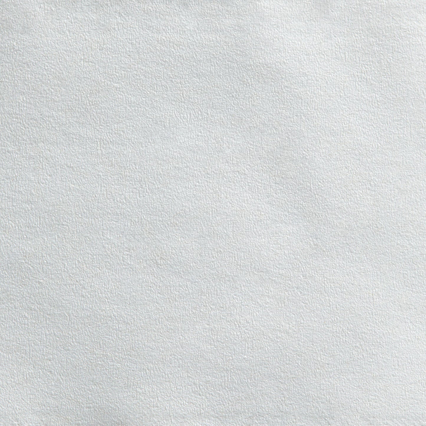TISSUE, TOILET ENVSN 2PLY JUMBO WHT (8RL/CS)