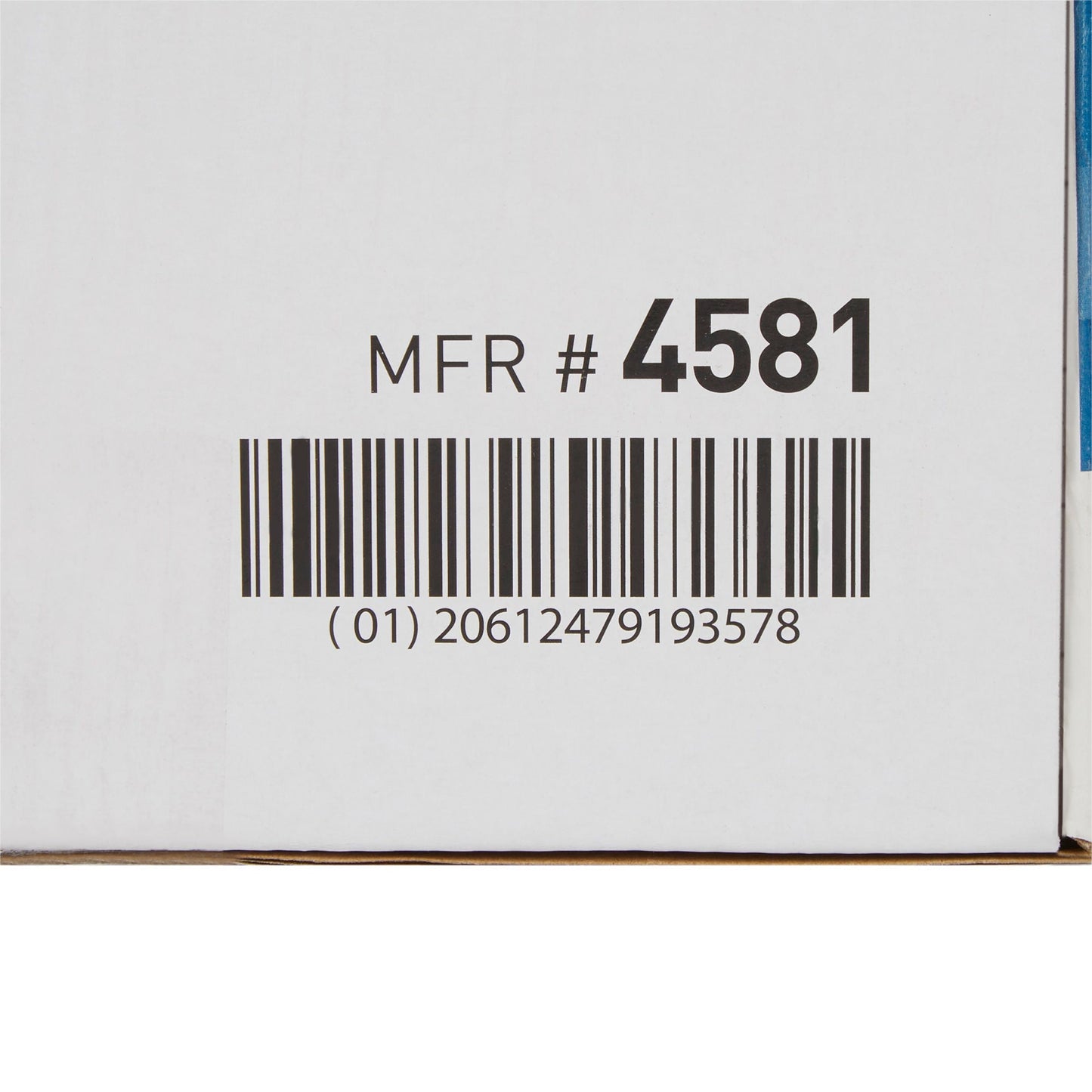 BAG, ZIP LOCK 8X10" (100/PK 10PK/BX 3BX/CS)