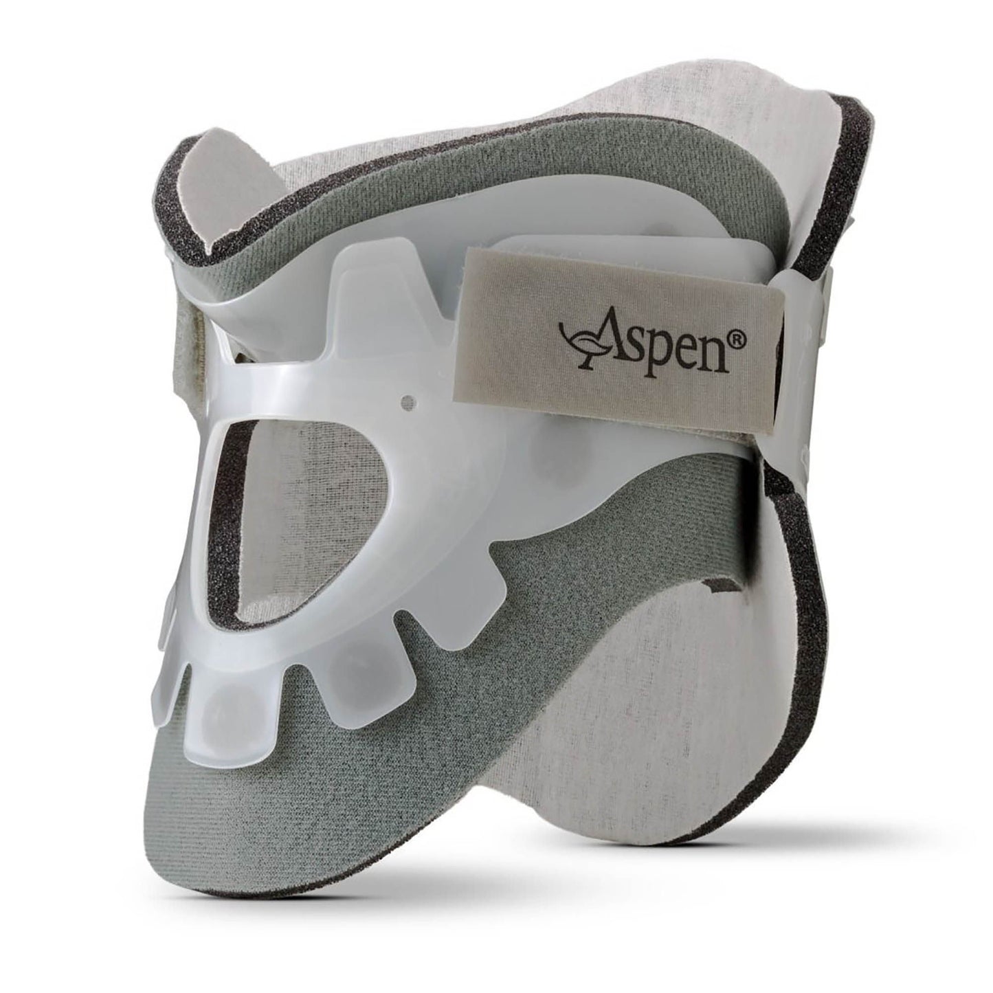 COLLAR, ASPEN REG ADLT (1/EA)
