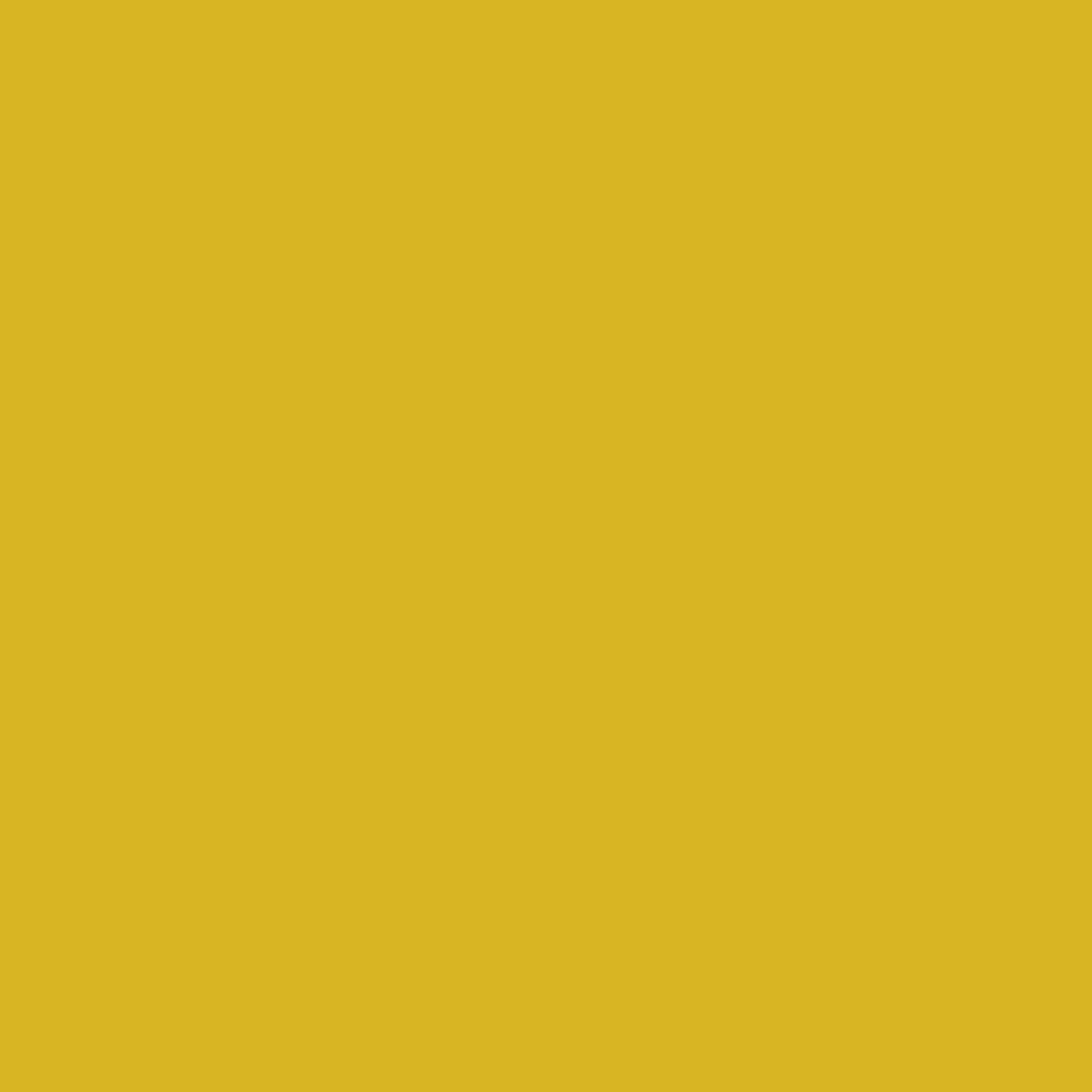 3M Scotchcast Plus Yellow Cast Tape, 3 Inch x 4 Yard