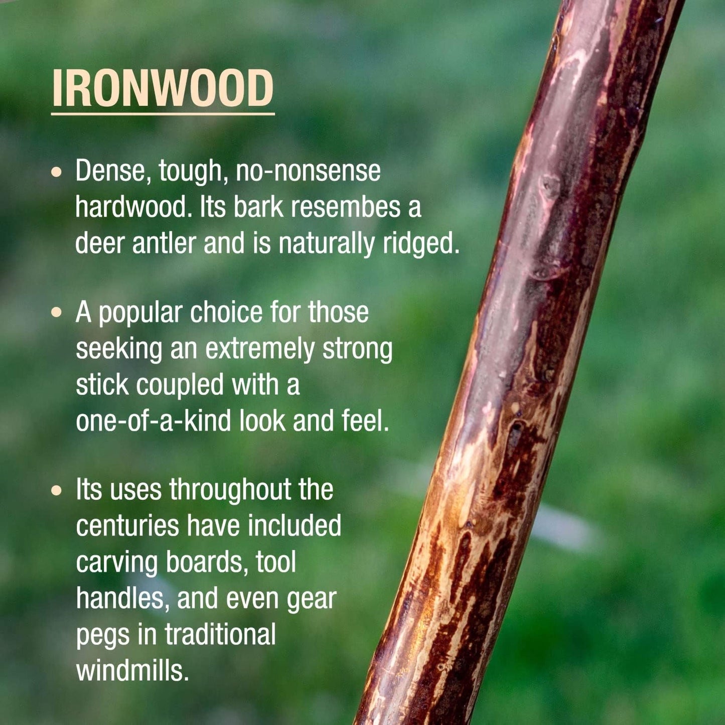 STICK, WALKING IRONWOOD HIKING/TREKKING BRAZOS FREE FORM 58"