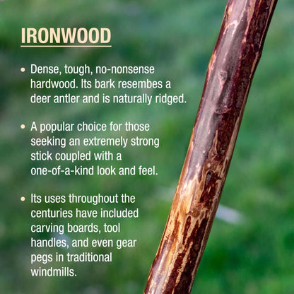 STICK, WALKING IRONWOOD HIKING/TREKKING BRAZOS FREE FORM 58"