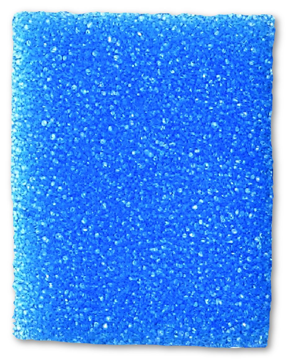 SPONGE, BIOPSY FOAM BLU (1000/CS)