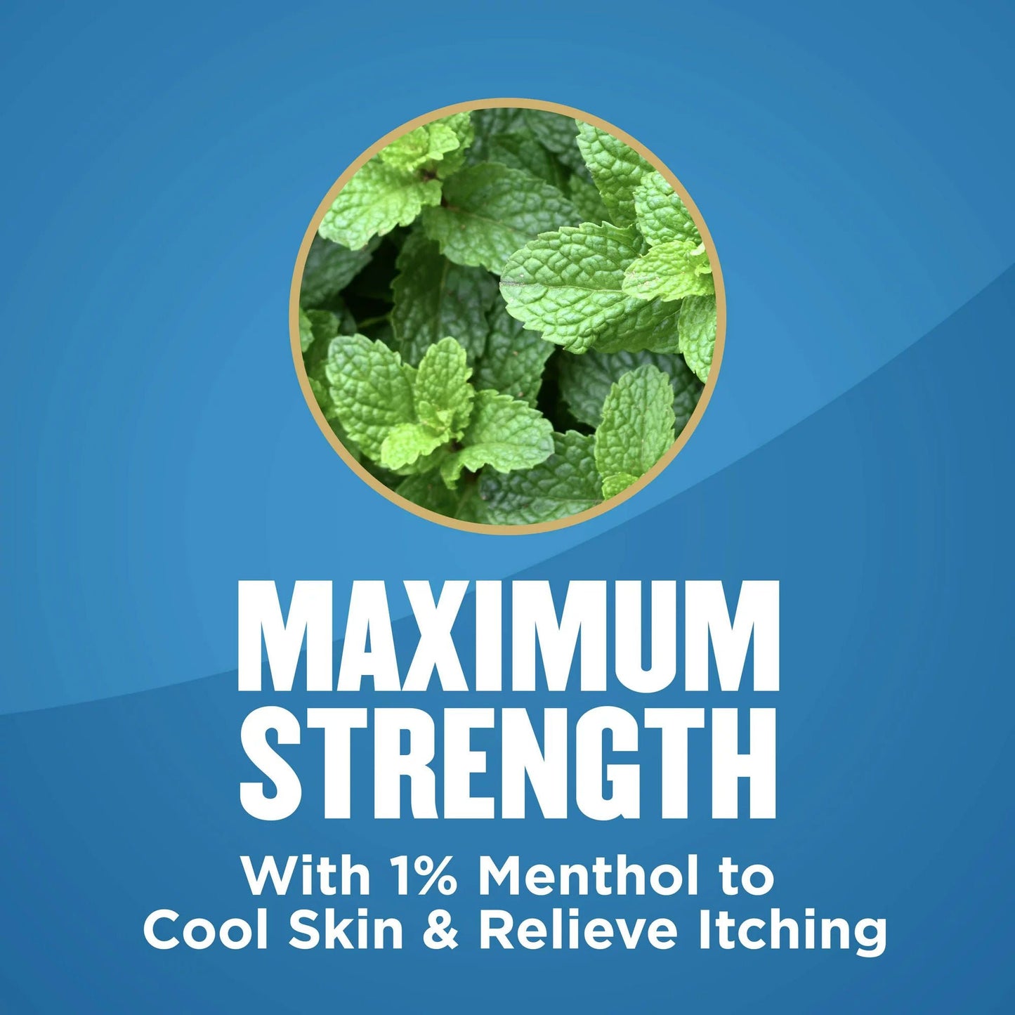GOLD BOND, PDR FOOT MEDICATED MAXIMUM STRENGTH 4OZ