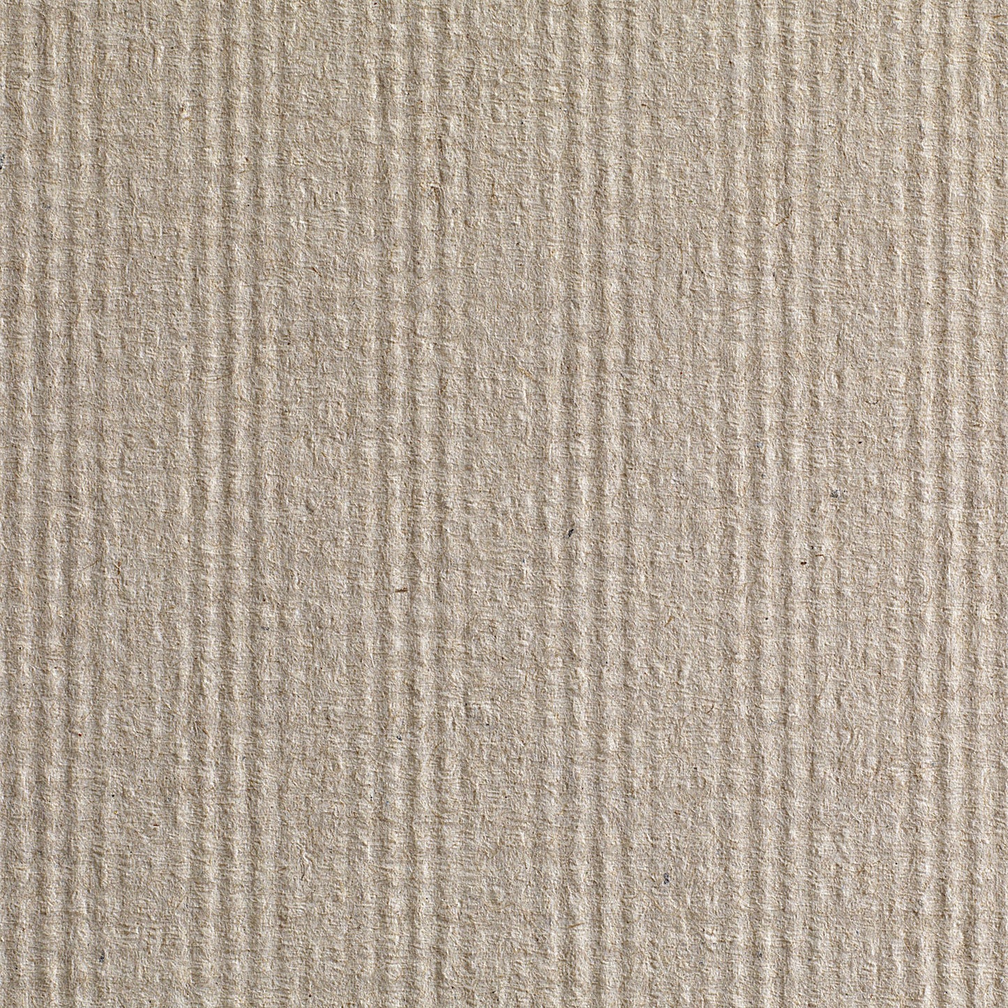 TOWEL, PAPER ECON 1PLY (12PK/CS)