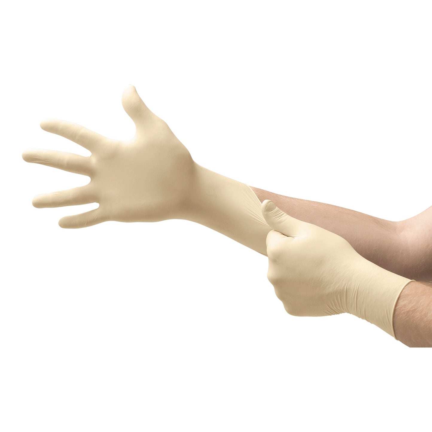 GLOVE, EXAM LTX SM N/S (100/BX10BX/CS)