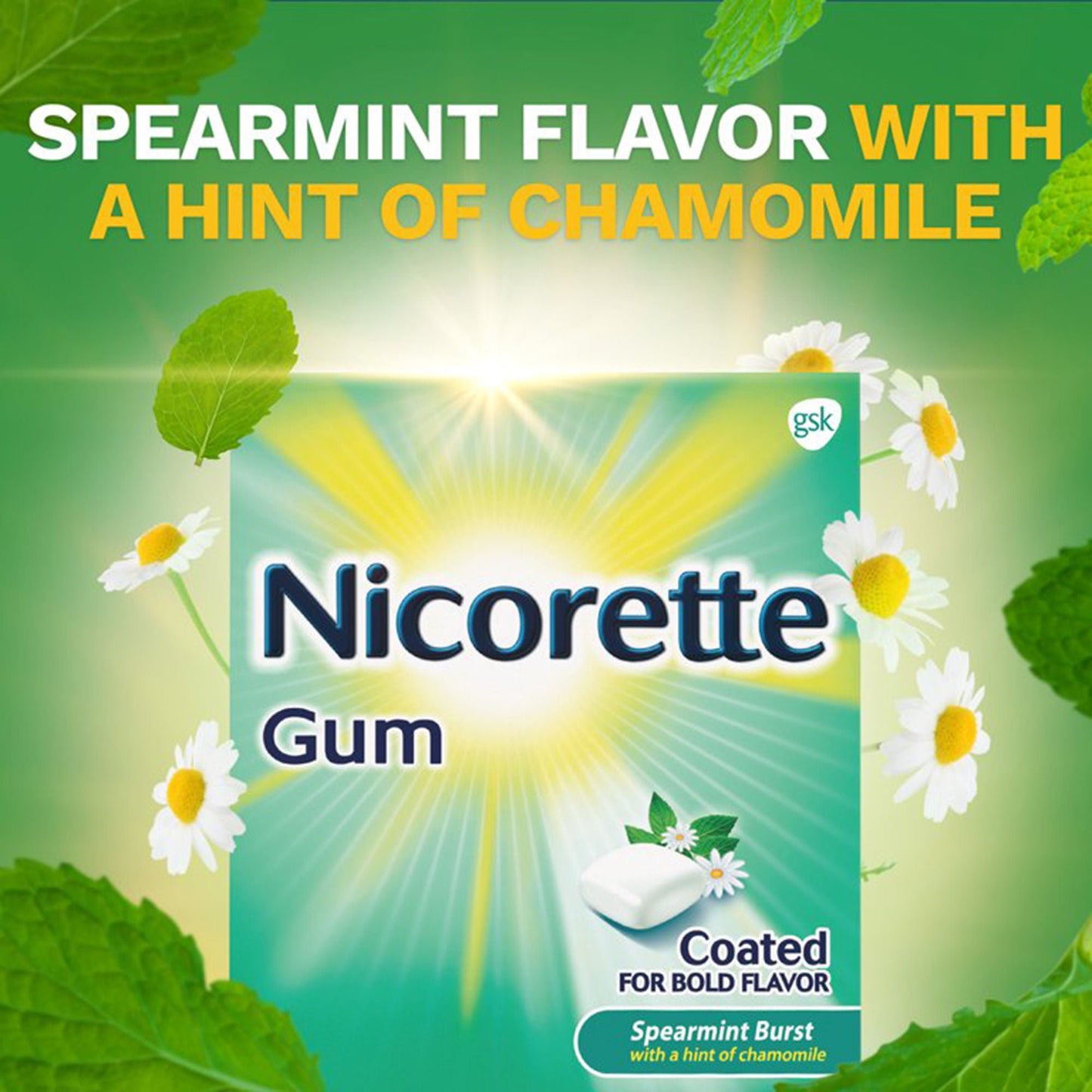 NICORETTE, GUM SPEARMINT BURST/CHAMOMILE 4MG (100/CT)
