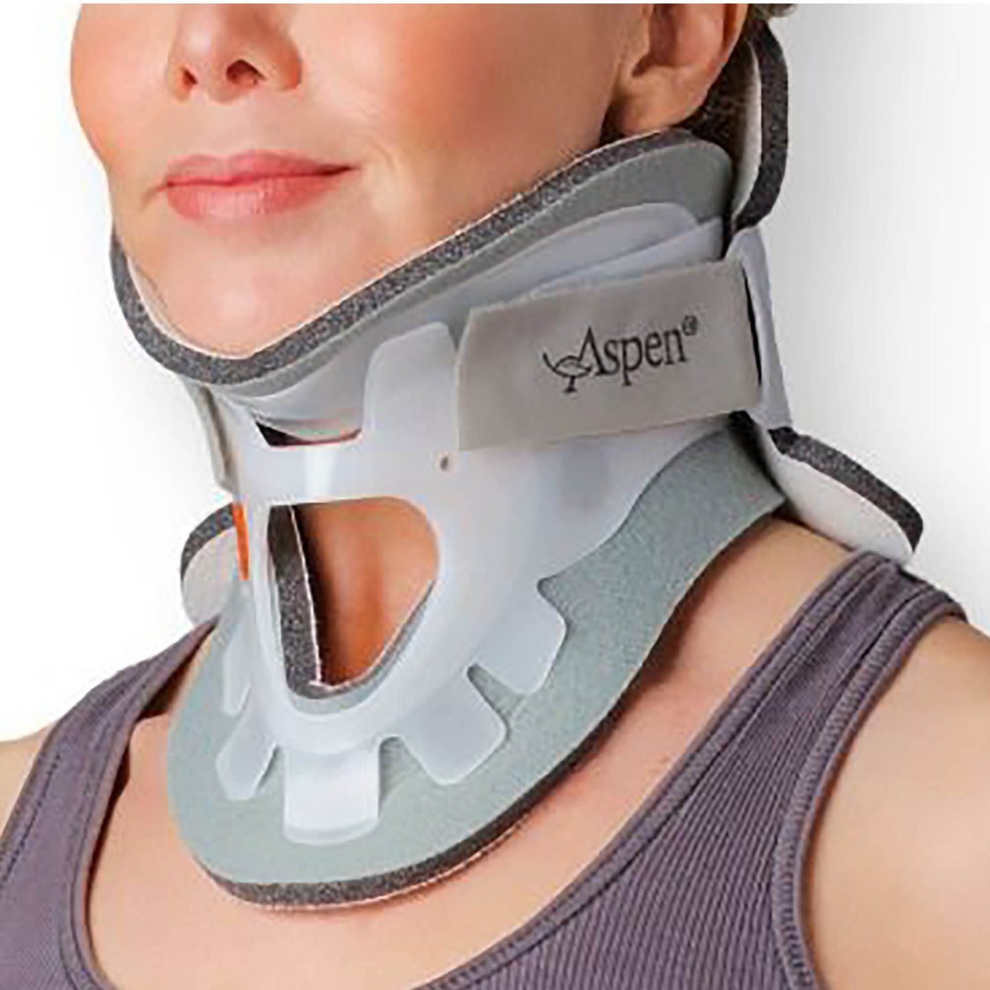 COLLAR, ASPEN REG ADLT (1/EA)