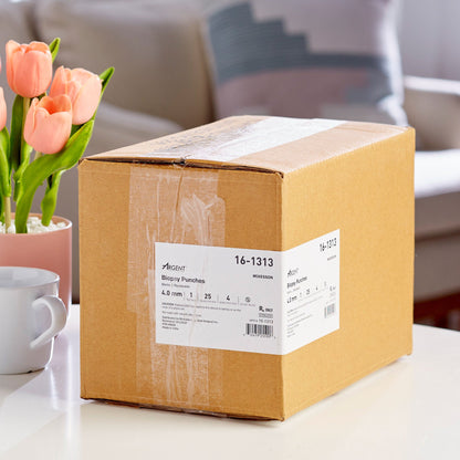 PUNCH, BIOPSY DISP STR 4MM (25BX 4BX/CS)