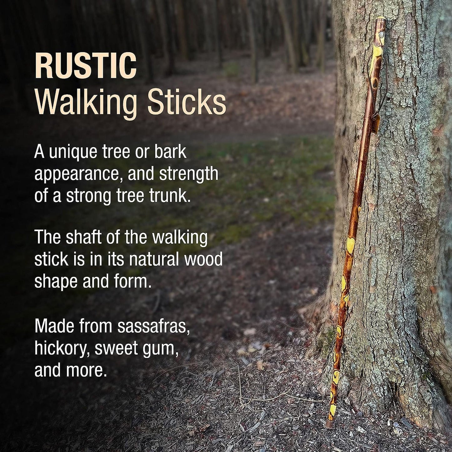 STICK, WALKING WOOD BRAZOS FREE FORM HAWTHORN 48"