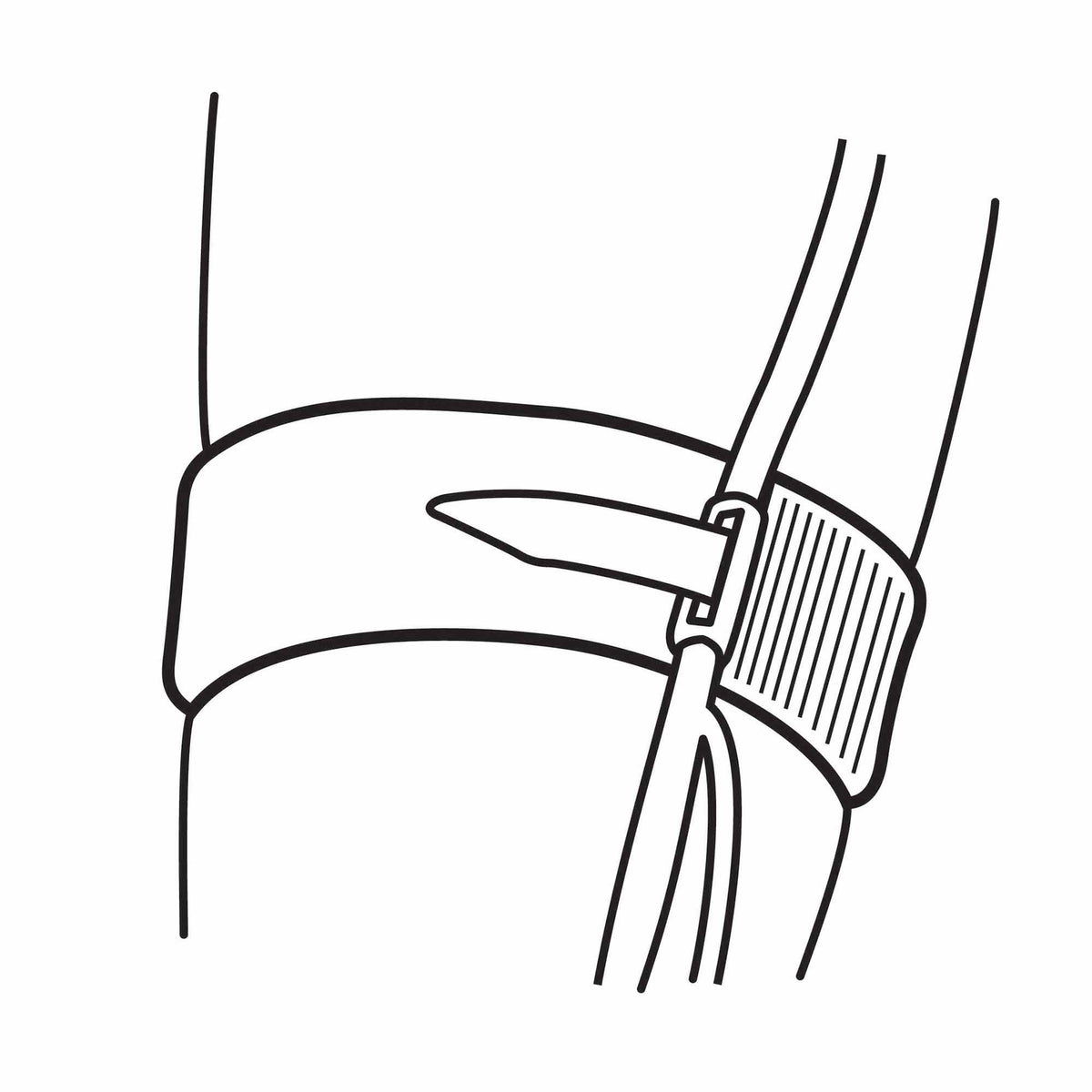LEG STRAP, CATH REG(10/BX 4/CS)43950-010