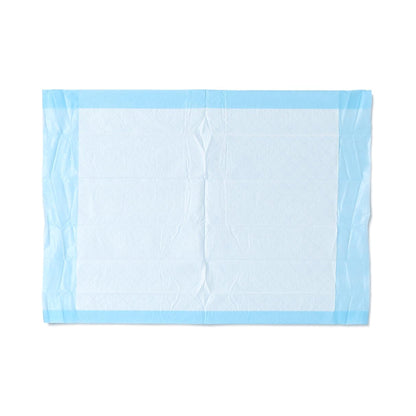 UNDERPAD, FLUFF DISP STD 17"X24" (300/CS)