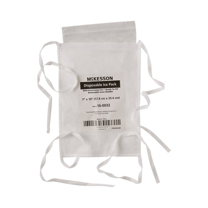 PACK, ICE W/TIES 7"X10" LF (10/BG 10BG/CS)