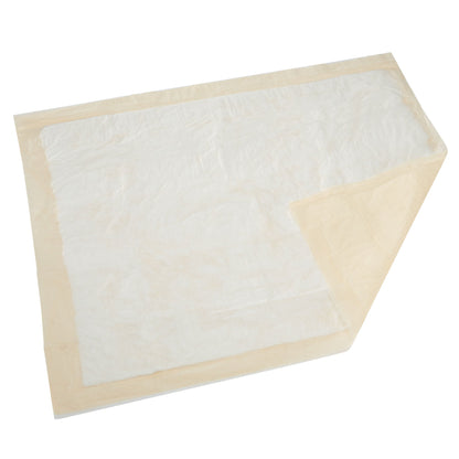 UNDERPAD, NIGHT PRESERVER W/POLYMER 36"X36" (10PK 5PK/CS)