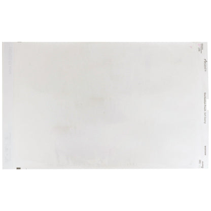 POUCH, SELF SEAL 12"X18" (200/BX 5BX/CS)