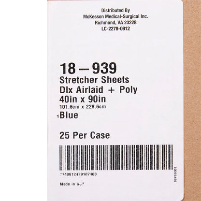 SHEET, STRETCHER AIRLAID/POLY BLU 40X90 (25/CS)