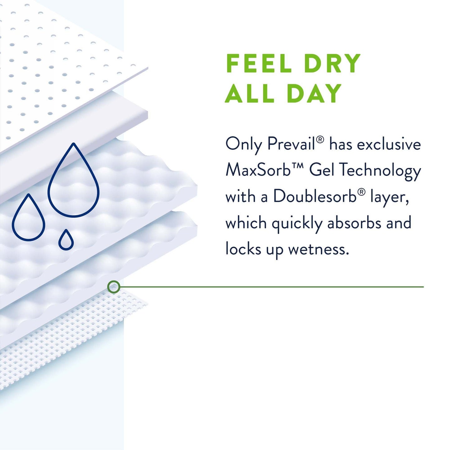 BRIEF, PREVAIL ADLT SZA (12/BG 4BG/CS)