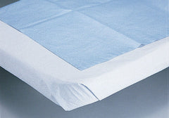 DRAPE, SHEET 2PLY WHT 40"X60" 100/CS)