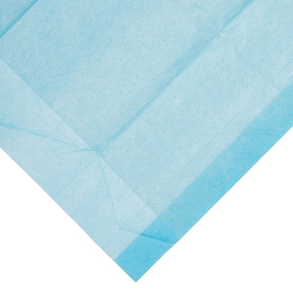UNDERPAD, INCONT N/SKD DISP 31GM 23X24" (100/PK 2PK/CS