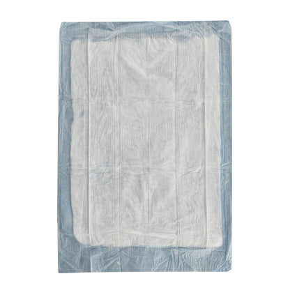 UNDERPAD, STD BLU 17X24" (50/BG 6BG/CS)